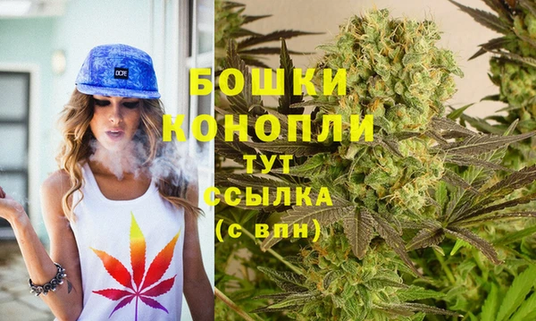 шишки Беломорск