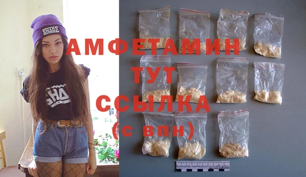 шишки Беломорск
