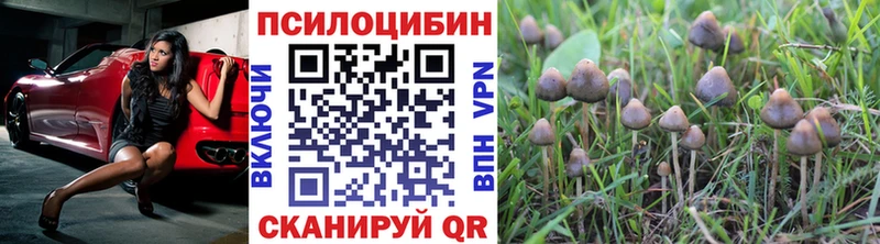 Псилоцибиновые грибы мицелий Дрезна